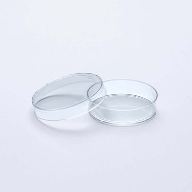 Falcon Culture Dish 60×15 mm